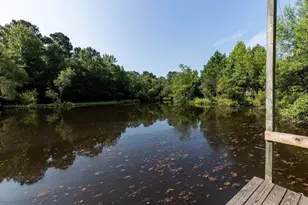 3127 Buttermilk Rd, Sylvania, GA 30467 - Photo 6