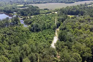 3127 Buttermilk Rd, Sylvania, GA 30467 - Photo 30