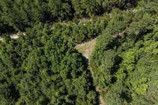 3127 Buttermilk Rd, Sylvania, GA 30467 - Photo 22