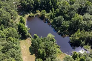 3127 Buttermilk Rd, Sylvania, GA 30467 - Photo 16