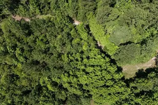 3127 Buttermilk Rd, Sylvania, GA 30467 - Photo 20