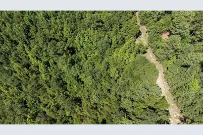 3127 Buttermilk Road, Sylvania, GA 30467 - Photo 18