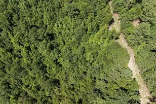 3127 Buttermilk Rd, Sylvania, GA 30467 - Photo 18