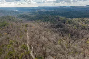 465 Briar Creek Dr, Ellijay, GA 30540 - Photo 70
