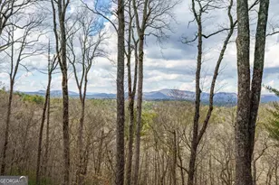 465 Briar Creek Dr, Ellijay, GA 30540 - Photo 68