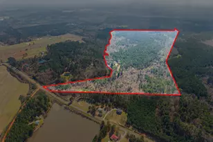 3127 Buttermilk Rd, Sylvania, GA 30467 - Photo 1