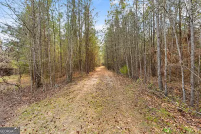 3127 Buttermilk Road, Sylvania, GA 30467 - Photo 6