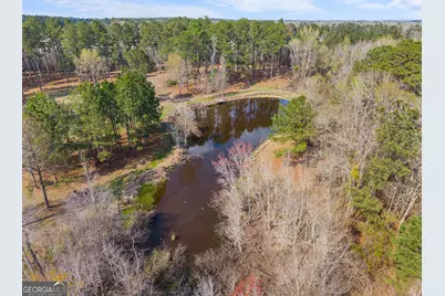 3127 Buttermilk Road, Sylvania, GA 30467 - Photo 18