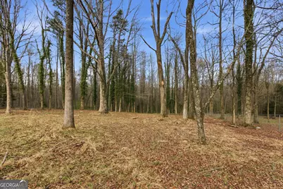 241 Tommy Irvin Road, Mount Airy, GA 30563 - Photo 34