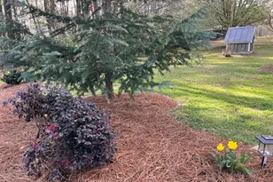 30 Roundlake Rd, Griffin, GA 30224 - Photo 40