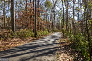 802 Agate Edge, Peachtree City, GA 30269 - Photo 56