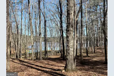 209 River Oaks Drive, Lagrange, GA 30240 - Photo 74