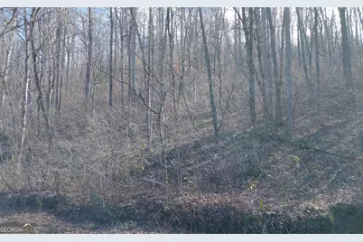 #15A Mossy Oaks Lane, Hiawassee, GA 30546 - Photo 6