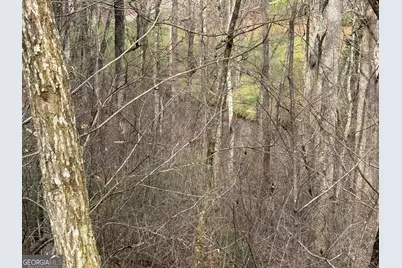 #15A Mossy Oaks Lane, Hiawassee, GA 30546 - Photo 1