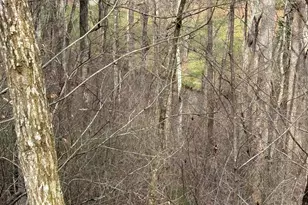 #15A Mossy Oaks Ln, Hiawassee, GA 30546 - Photo 1