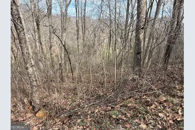 #15A Mossy Oaks Lane, Hiawassee, GA 30546 - Photo 10