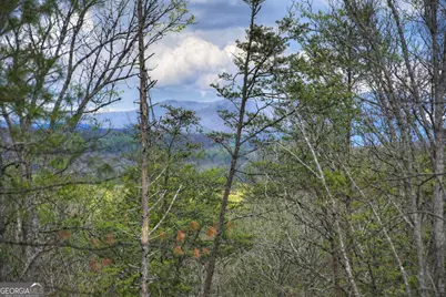 191 Bent Wood Lane, Blue Ridge, GA 30513 - Photo 6