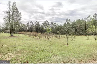 319 Pope Road, Roberta, GA 31078 - Photo 42