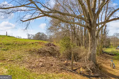 529 Bond Bridge Road, Royston, GA 30662 - Photo 42