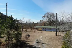 271 Marchants Dairy Rd, Rhine, GA 31077 - Photo 2