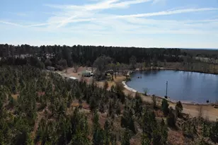 271 Marchants Dairy Rd, Rhine, GA 31077 - Photo 1