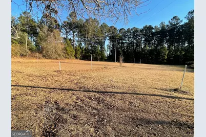 271 Marchants Dairy Road, Rhine, GA 31077 - Photo 22