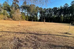 271 Marchants Dairy Rd, Rhine, GA 31077 - Photo 22