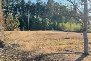 271 Marchants Dairy Rd, Rhine, GA 31077 - Photo 20