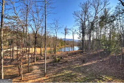 17 Dial Mountain Drive #1,2, Blue Ridge, GA 30513 - Photo 4