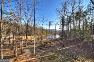 17 Dial Mountain Dr, Blue Ridge, GA 30513 - Photo 4
