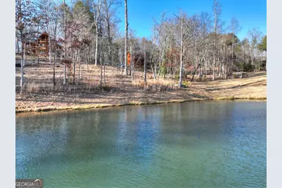 17 Dial Mountain Drive #1,2, Blue Ridge, GA 30513 - Photo 58