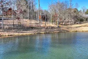 17 Dial Mountain Dr, Blue Ridge, GA 30513 - Photo 58