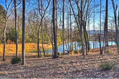 17 Dial Mountain Drive #1,2, Blue Ridge, GA 30513 - Photo 2