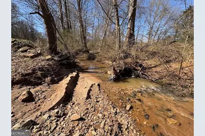 0 Unawatti Road, Canon, GA 30520 - Photo 14