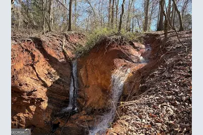 0 Unawatti Road, Canon, GA 30520 - Photo 10