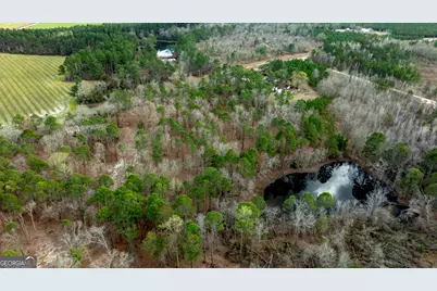 0 Cowart Pond Road, Metter, GA 30439 - Photo 8