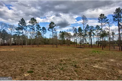 0 Cowart Pond Road, Metter, GA 30439 - Photo 14
