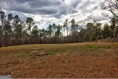 0 Cowart Pond Road, Metter, GA 30439 - Photo 12