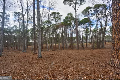 0 Cowart Pond Road, Metter, GA 30439 - Photo 16