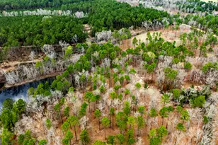 0 Cowart Pond Rd, Metter, GA 30439 - Photo 1