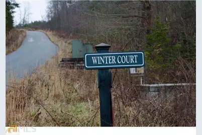 0 Lot 35 Winter Court #35, Rabun Gap, GA 30568 - Photo 16