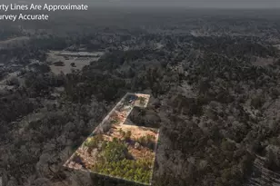 1297 Wesleyan Dr, Macon, GA 31210 - Photo 4