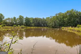 6536 Luthersville Rd, Gay, GA 30218 - Photo 74