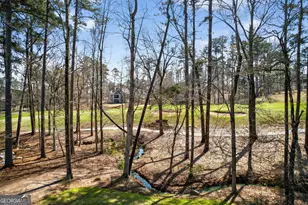 1071 Carnoustie Dr, Greensboro, GA 30642 - Photo 6