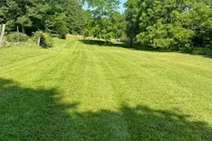 595 Wildlife Trail, Morganton, GA 30560 - Photo 6