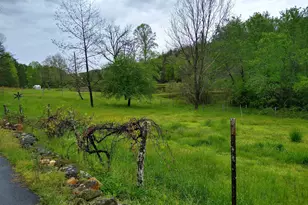 595 Wildlife Trail, Morganton, GA 30560 - Photo 2