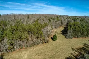 595 Wildlife Trail, Morganton, GA 30560 - Photo 42