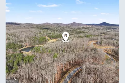 595 Wildlife Trail, Morganton, GA 30560 - Photo 34