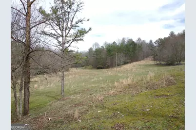 595 Wildlife Trail, Morganton, GA 30560 - Photo 58