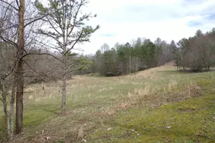 595 Wildlife Trail, Morganton, GA 30560 - Photo 58